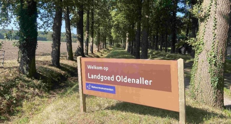 IVN-herfstexcursie voor jong en oud op Landgoed Oldenaller — natuur in Nijkerk